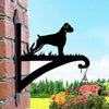 Boxer Dog Metal Hanging Bracket Plant Stand PS088