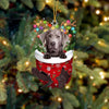 Labrador In Snow Pocket Christmas Ornament SP016