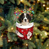 Bernese Mountain In Snow Pocket Christmas Ornament SP020
