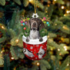 Blue Tick Hound Dog In Snow Pocket Christmas Ornament SP080