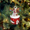 Brittany Spaniels Red and White In Snow Pocket Christmas Ornament SP127
