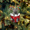 Cat In Snow Pocket Christmas Ornament SP195