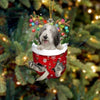 Bearded Collie In Snow Pocket Christmas Ornament SP218
