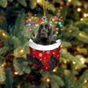English Cocker Spaniel In Snow Pocket Christmas Ornament SP240