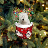 Old English Sheepdog In Snow Pocket Christmas Ornament SP261