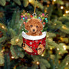 Toy Poodle In Snow Pocket Christmas Ornament SP268