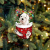 Boxer In Snow Pocket Christmas Ornament SP282