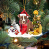 Boston Terrier Christmas Ornament SM076