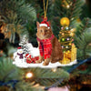 American Bobtail Cat Christmas Ornament SM152
