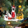 Devon Rex Cat Christmas Ornament SM189