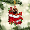 Dachshund In Gift Bag Christmas Ornament GB081