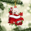 Bichon Frise In Gift Bag Christmas Ornament GB102