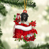 Newfounderland In Gift Bag Christmas Ornament GB123